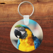 Porte-clés perroquet (Recto)