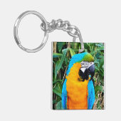 Porte-clés Perroquet bleu et jaune (Devant gauche)