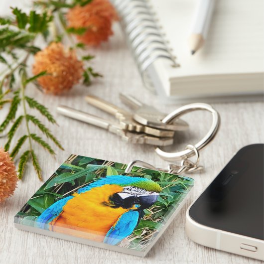 Porte-clés Perroquet bleu et jaune (Devant Droit)