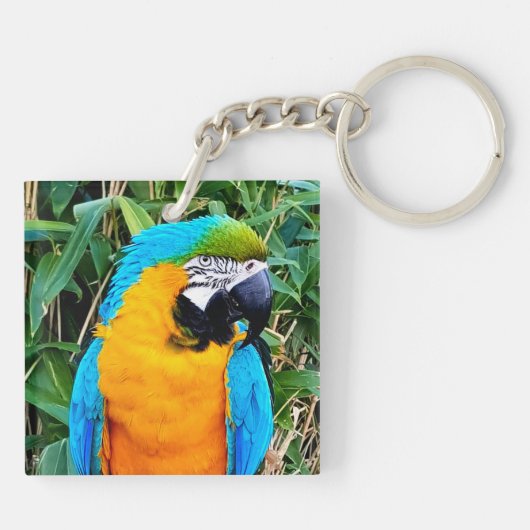 Porte-clés Perroquet bleu et jaune (Dos)