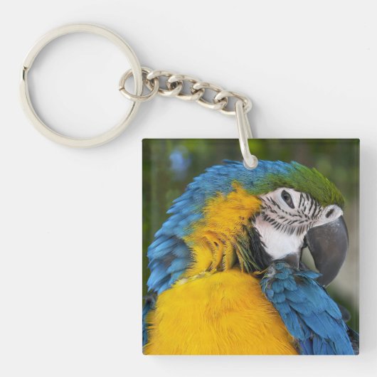 Porte-clés Perroquet Bleu Et Or (Devant)