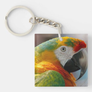 Porte-clés Perroquet de Macaw Tropical