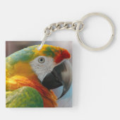 Porte-clés Perroquet de Macaw Tropical (Dos)