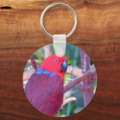 Porte-clés Perroquet d'eclectus coloré (Recto)