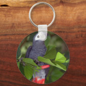 Porte-clés Perroquet gris africain (Recto)