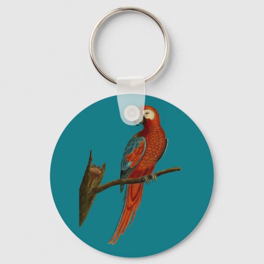 Porte-clés Perroquet rouge (Recto)