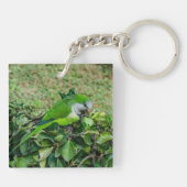 Porte-clés Perroquet vert (Dos)