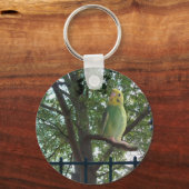 Porte-clés Perruche (Recto)