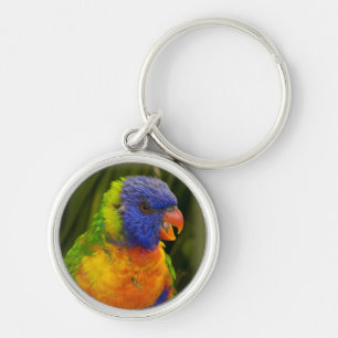 Porte-clés Perruche colorée