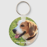 Personalized Beagle Dog Photo and Dog Name