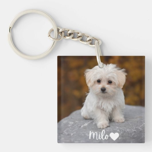 Porte-clés Personalized Pet Photo Keychain with Name (Devant)
