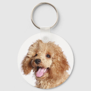 Porte-clés personnalisé Chien Caniche Abricot Amou