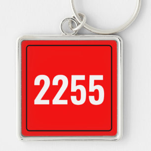 Porte-clés personnalisé de plaque d'immatriculatio