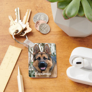 Porte-clés Pet Memorial Animal Perdre Chien Rainbow Bridge Sy