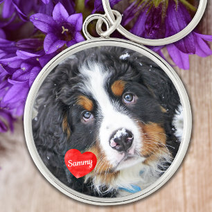 Porte-clés Pet Memorial Animaux de compagnie perte cadeau Sym