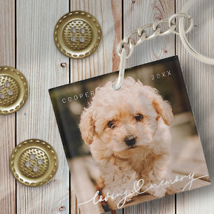 Porte-clés Pet Memorial Love Memory Simple Photo moderne