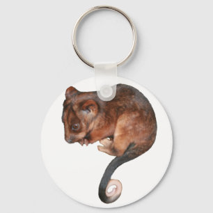 Porte-clés Petit Bébé Singtail Possum