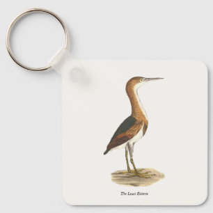 Porte-clés Petit Bittern (Ixobrychus exilis) Oiseaux de New Y