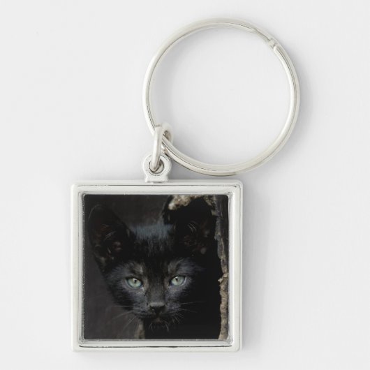 Porte-clés Petit Kitty noir (Devant)