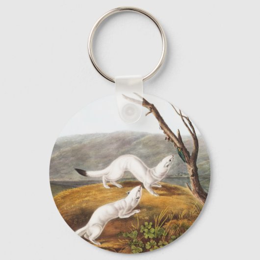 Porte-clés Petit Nimble Weasel Putorius agilis Illustration (Recto)