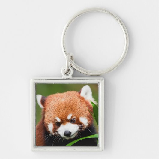 Porte-clés Petit Panda Rouge (Devant)