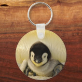 Porte-clés Petit pingouin (Recto)