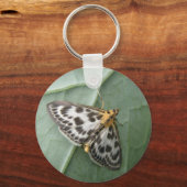Porte-clés Petit Porte - clé de papillon (Recto)
