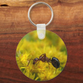 Porte-clés Petite fourmi sur Goldenrod (Recto)