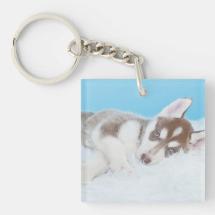 Porte-clés Petite marionnette Husky posée sur une couverture