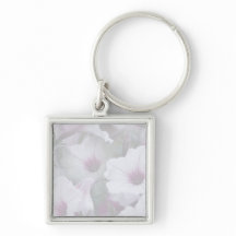 Pétunias Rose Et Blanc