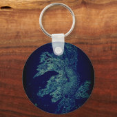 Porte-clés pez betta de estanque (Recto)