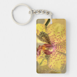 Porte-clés Phalaenopsis jaune taches violettes