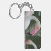 Porte-clés Phoenicopterus roseus (Devant gauche)