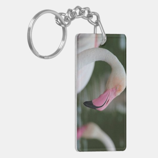 Porte-clés Phoenicopterus roseus (Devant gauche)