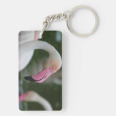 Porte-clés Phoenicopterus roseus (Dos)