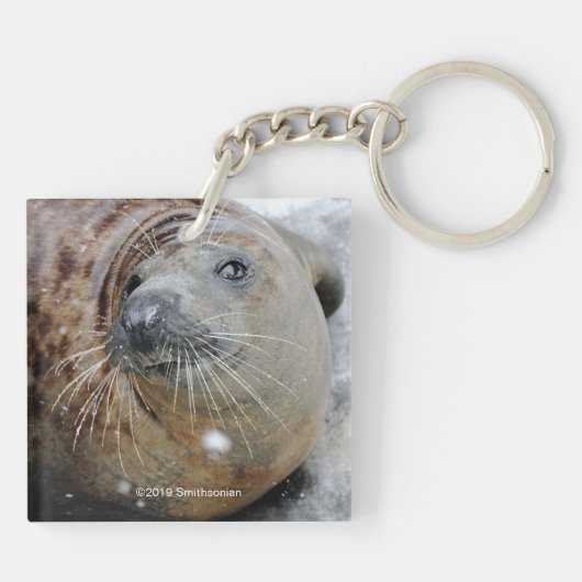 Porte-clés Phoque gris sur glace (Dos)