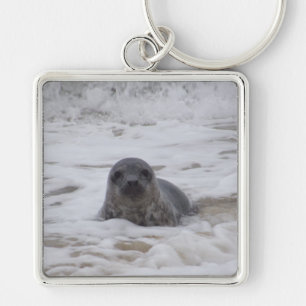 Porte-clés Phoque - Porte - clé Carré Premium Image Animal