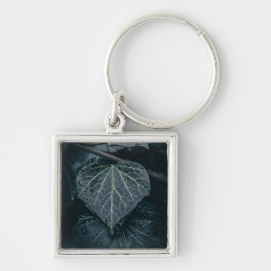 Porte-clés Photo Dark Ivy Nature (Devant)
