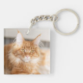Porte-clés Photo de chat mignon aux cheveux bouclés (Dos)