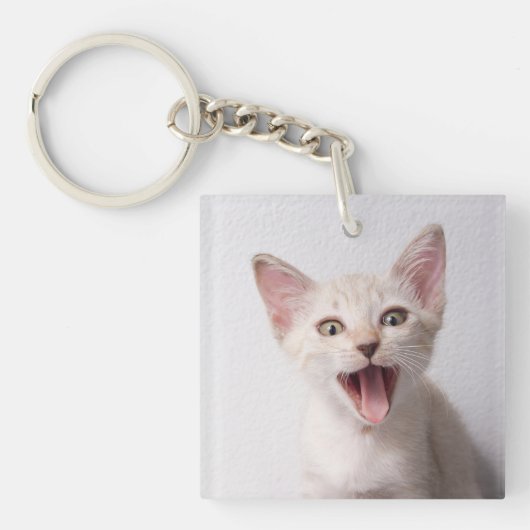 Porte-clés Photo de chat mignon et drôle (Devant)