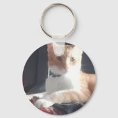 Porte-clés Photo de chat, remplaçable, Drôle (Verso)