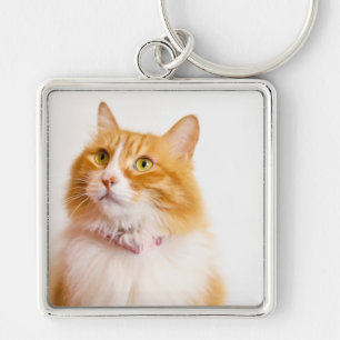 Porte-clés Photo de chat roux personnalisé avec nom personnal