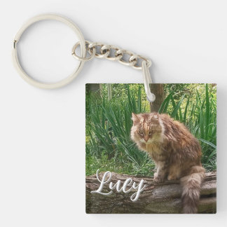 Porte-clés Photo de chat sauvage / Amateur de chat
