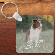 Photo de chien personnalisé minimaliste