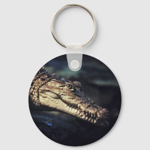 Porte-clés photo de crocodile de caïman