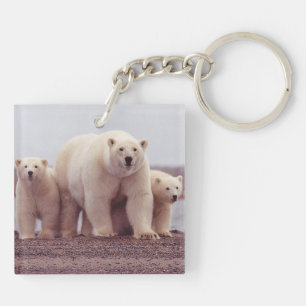 Porte-clés Photo de famille d'ours polaires mère et oursons