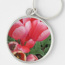 photo de fleurs de tulipes roses