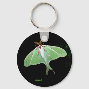 Porte-clés photo de la lune moth