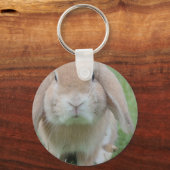Porte-clés photo de lapin grave (Recto)