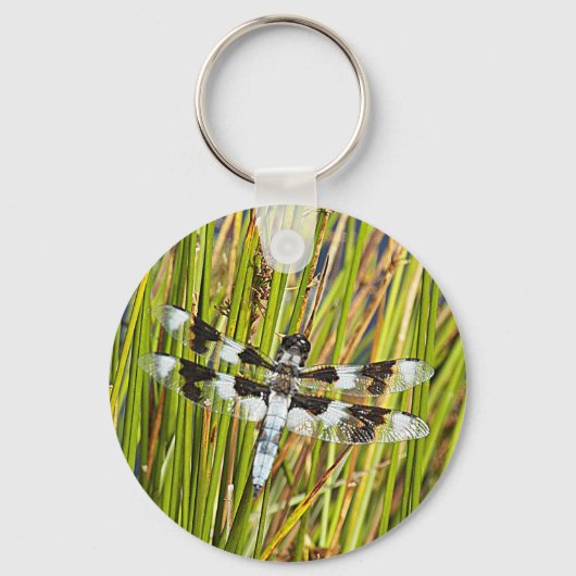 Porte-clés Photo de libellule d'écrémage blanc commun (Verso)